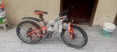 Rally 24 inch Cycle 0