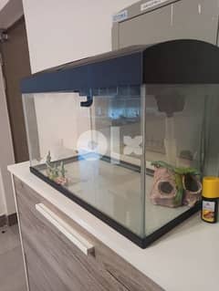 Fully functional Fish Tank 0