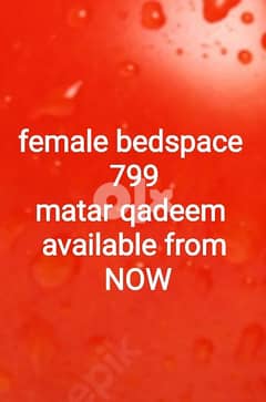 bedspace and studio room Available 0