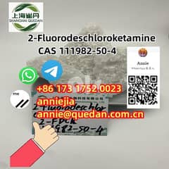 2-Fluorodeschloroketamine CAS 111982-50-4 0