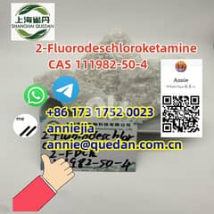 2-Fluorodeschloroketamine CAS 111982-50-4 0