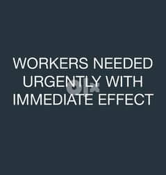 Urgent workers Needed 0