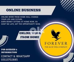 Work From Home Based Contact me on Whatsapp +923113702885 0