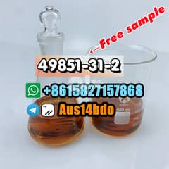 CAS 49851-31-2,2-Bromo-1-phenyl-1-pentanone,49851-31-2 russia 0