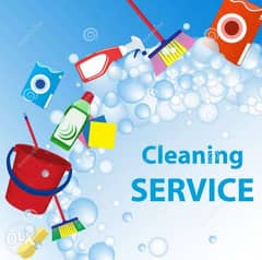 Cleaning service 0