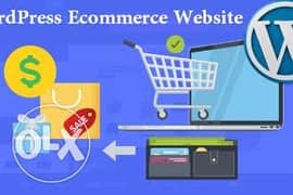 eCommerce Website Development and Business Websites 0