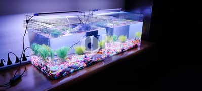 Aquarium Tanks with Fishes for Sale (Full Set). 0