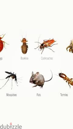 المستقبل الواعد لمكافحة الحشرات والقوارض 0