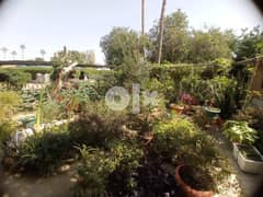 Lovely Traditional Single Story Villa for Rent at Hilal 0