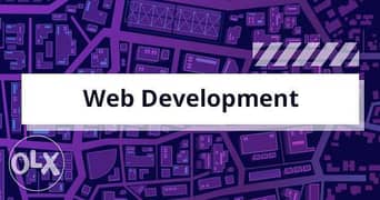 Professional E-commerce Web Development Website Designing SEO Services 0
