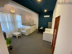 FULLY FURNISHED BRAND NEW  1 BED - APARTMENT IN DAFNA 0