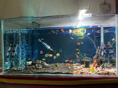 Aquarium tank / Glass tank 0