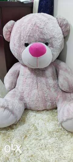 Pink teddy bear, need a wash that's it 0
