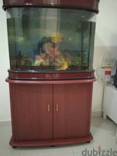 A brand new fish tank with motor 0