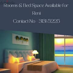 Executive Shared Rooms & Bachelor Bed Space Available for Rent Near D 0