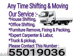 Moving, Shifting, Carpenter, Packing,  Painting, Pickup. 55019036 0