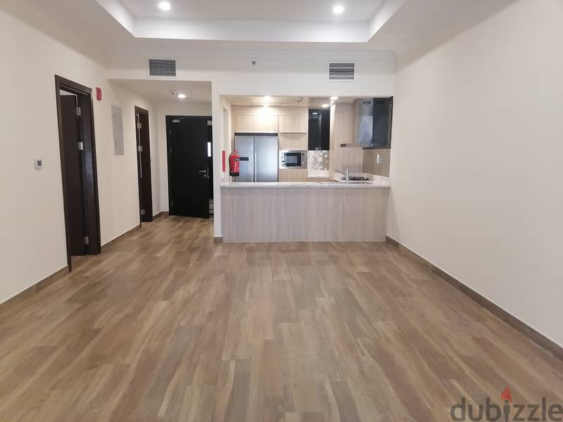 SF one bedroom apartment Lusai 5