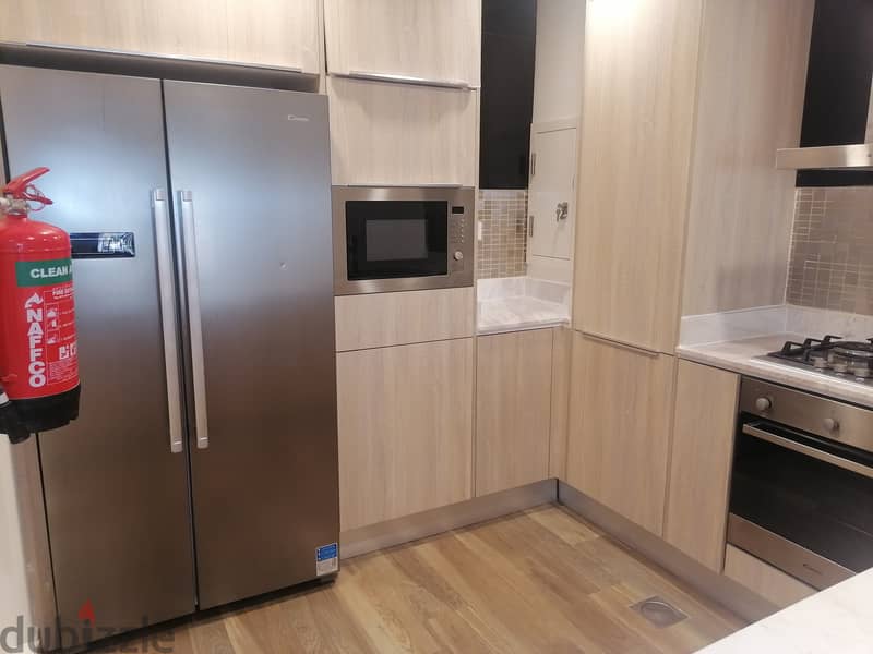 SF one bedroom apartment Lusai 15