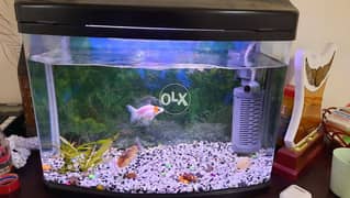 Fish tank with water filter pump 0