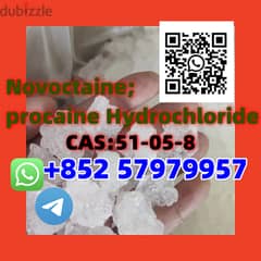 Novoctaine;procaine Hydrochloride     CAS: 51-05-8 0