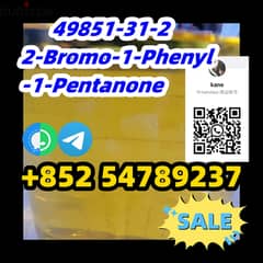 49851-31-2  2-Bromo-1-Phenyl-1-Pentanone 0