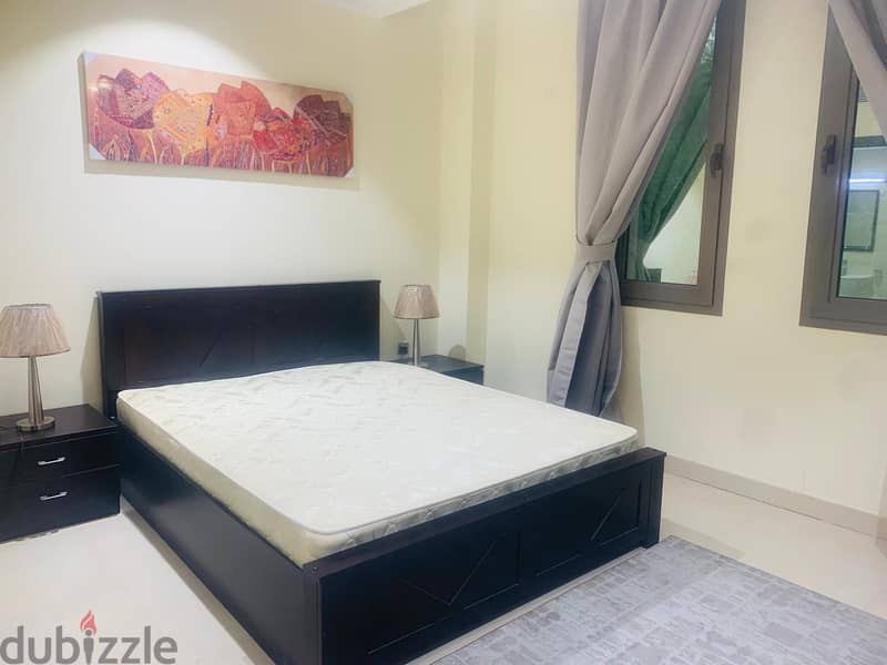 All Bills Included 1 BHK Fully Furnished Apartment 3