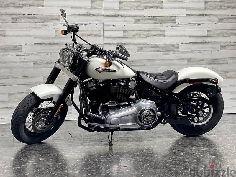 2018 Harley Davidson Softail 2
