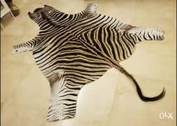 Zebra Skin 0