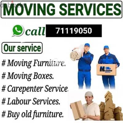 Carpentry :- Clothes Change, Fixing Furniture:moving shifting