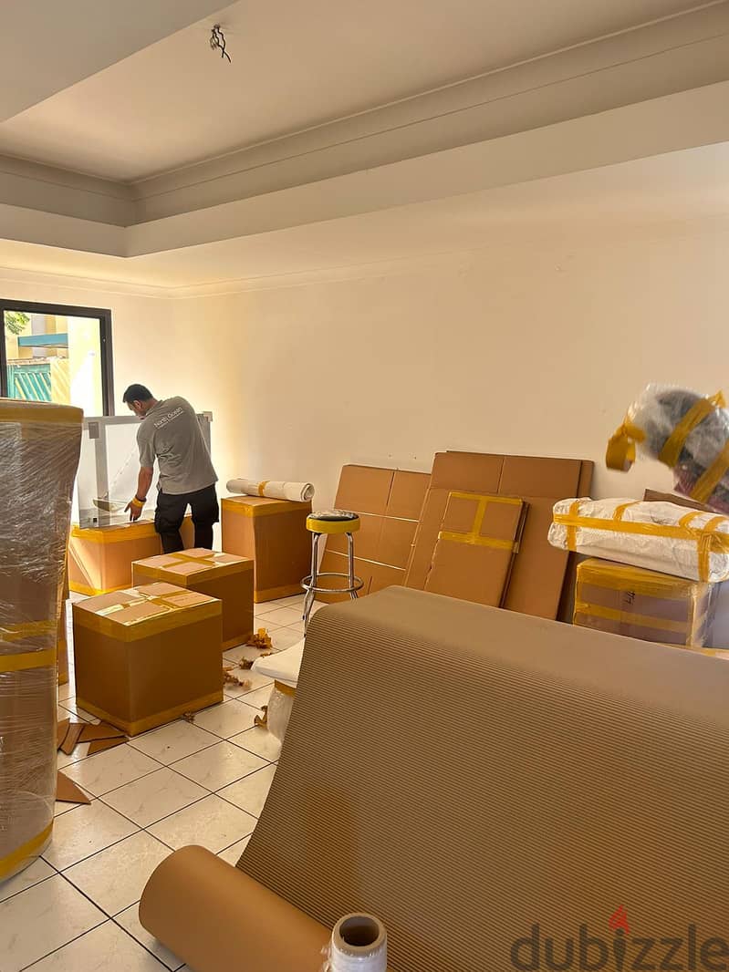 Professional Moving & packing international  service provider 6
