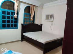 1 BHK - Fully Furnished - Old Airport 0