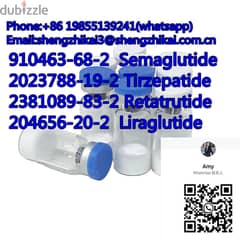 Semaglutide Weight Loss Injections Peptide CAS No. 910463-68-2