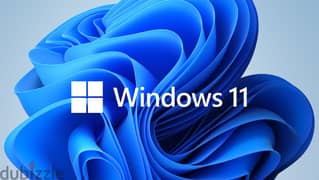 Install Windows 11 Pro  "Upgrade to Windows 11 Pro"