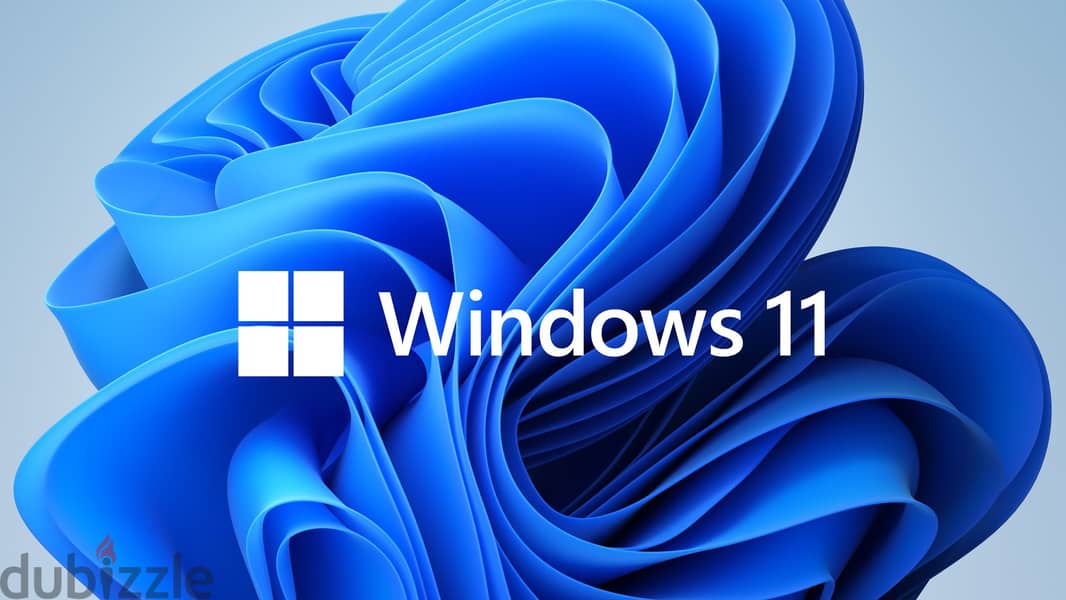 Install Windows 11 Pro  "Upgrade to Windows 11 Pro" 0