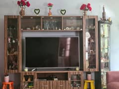 Wall unit with Lighting 0