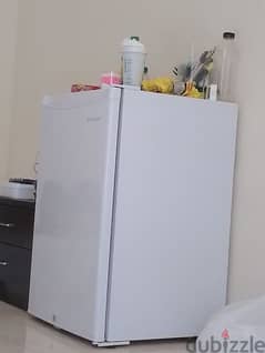 Fridge or Refrigerator 0