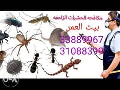 القضاء علي الحشرات والزواحف والقوارص مح 0