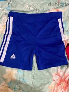 Chelsea Sports Shorts (Size L)