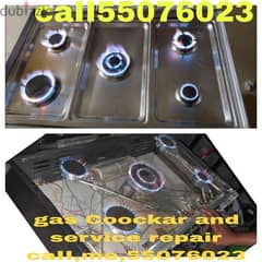 gas stove/oven/cooker, electronic  and servicing,repair