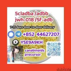 5cladba,adbb,jwh,2709672-58-0,(+85244627207),Large volume discounts 0