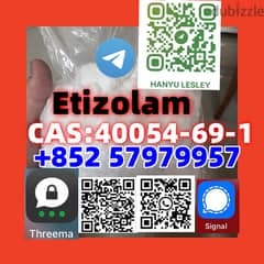 Etizolam  CAS:40054-69-1+852 57979957
