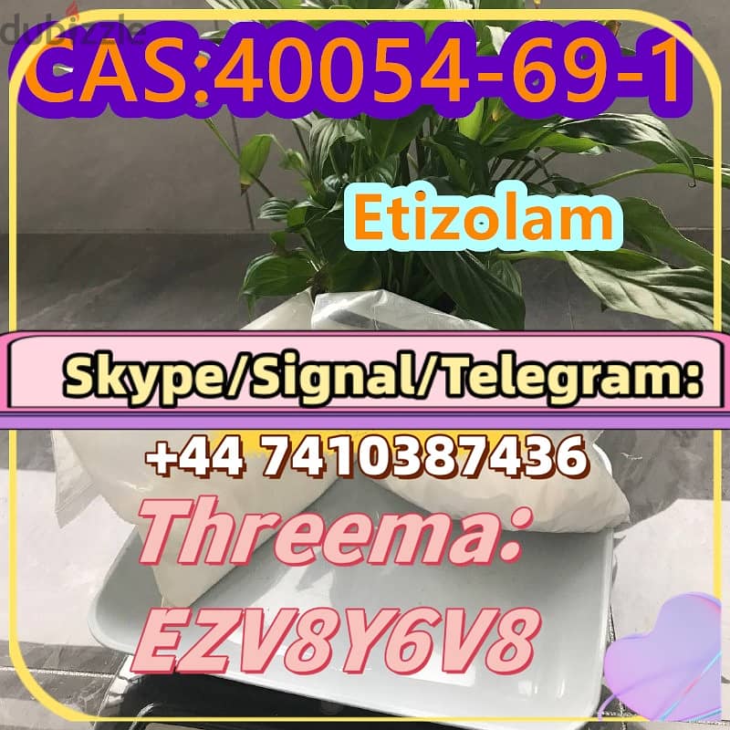 Etizolam                        CAS:40054-69-1 1