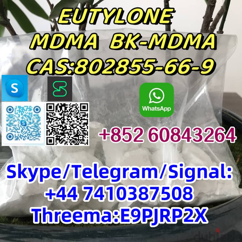 EU TY LONE  MD MA  B K-MD  MA  CAS:802855-66-9  +44 7410387508 3
