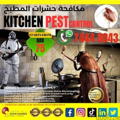 Pest Control & Cleaning Services