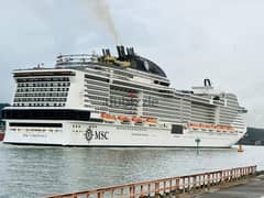 Requirement On MSC CRUISES SHIP USA