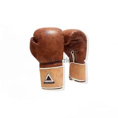 Boxing, Muay thai, Kick boxing, MMA gloves