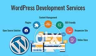 Online Store | WordPress Website | professional eCommerce website 0